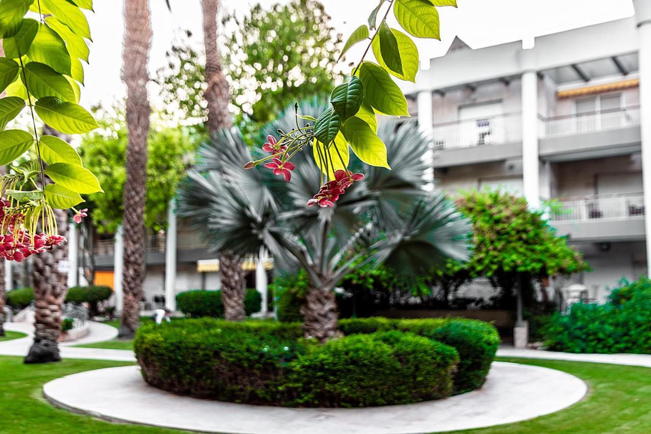 דירת גן פונה לבריכה - Pool Garden View Eilat Leilighet Eksteriør bilde